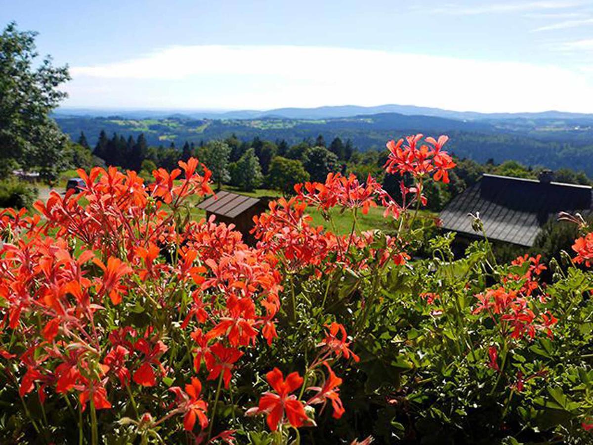 Pension Draxlerhof Neuschönau Buitenkant foto