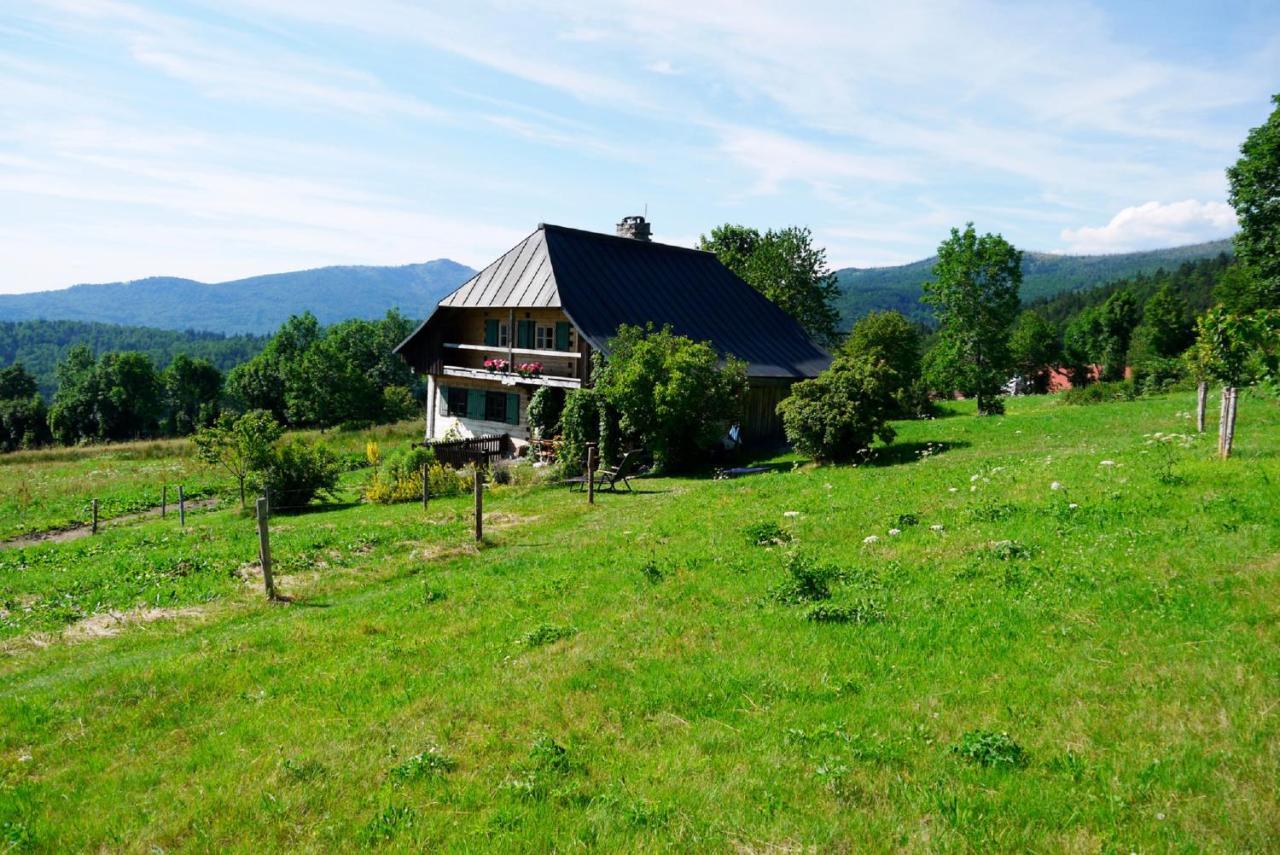 Pension Draxlerhof Neuschönau Buitenkant foto